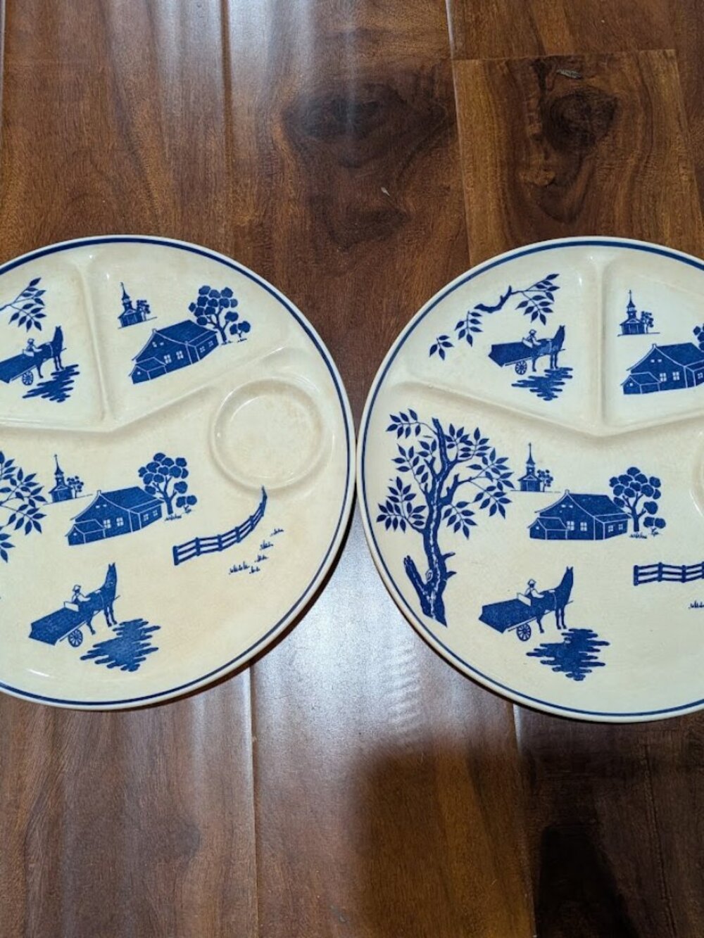 NASCO Set Of 2 Vintage Blue and Beige Scenic, Glazed Ceramic Plates w/dividers